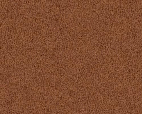 Solvent Dyes - Leather